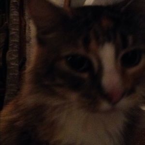 Meet your Posher, Cathi